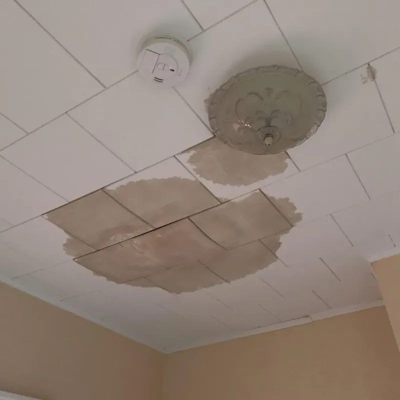Ceiling Water Damage Repair in Tattnall County, GA