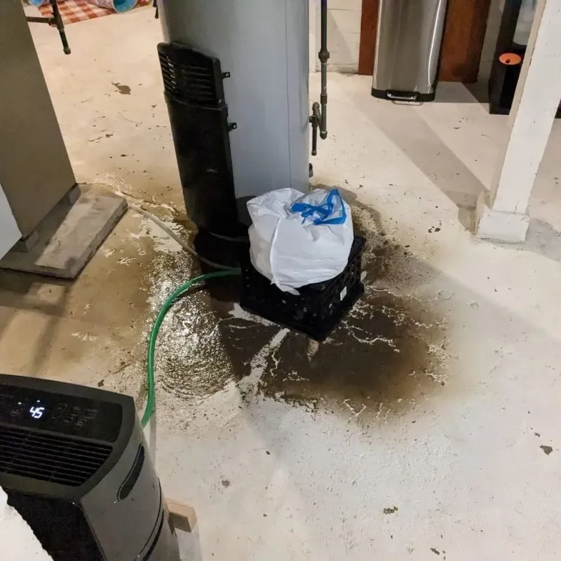 Sewage Backup Cleanup Service in Tattnall County, GA